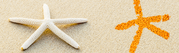 FSC COC產(chǎn)銷監(jiān)管鏈認(rèn)證