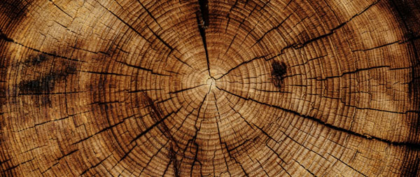 FSC COC產(chǎn)銷監(jiān)管鏈認(rèn)證